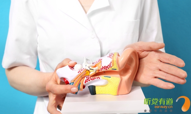 听觉有道助听器